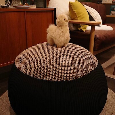 IDEE］MINI PUUF NEST（COVER COLLAGE